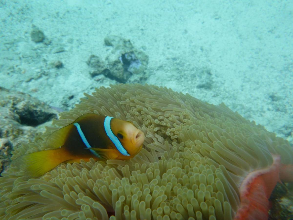 La Perle Tahaa Hotell Tapu' amu Exteriör bild