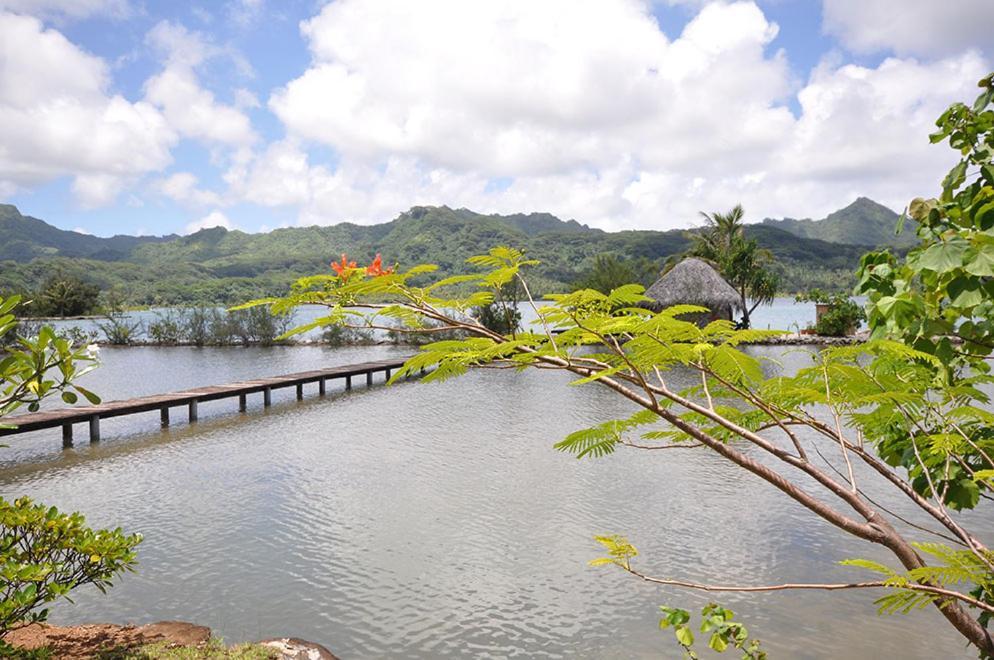 La Perle Tahaa Hotell Tapu' amu Exteriör bild