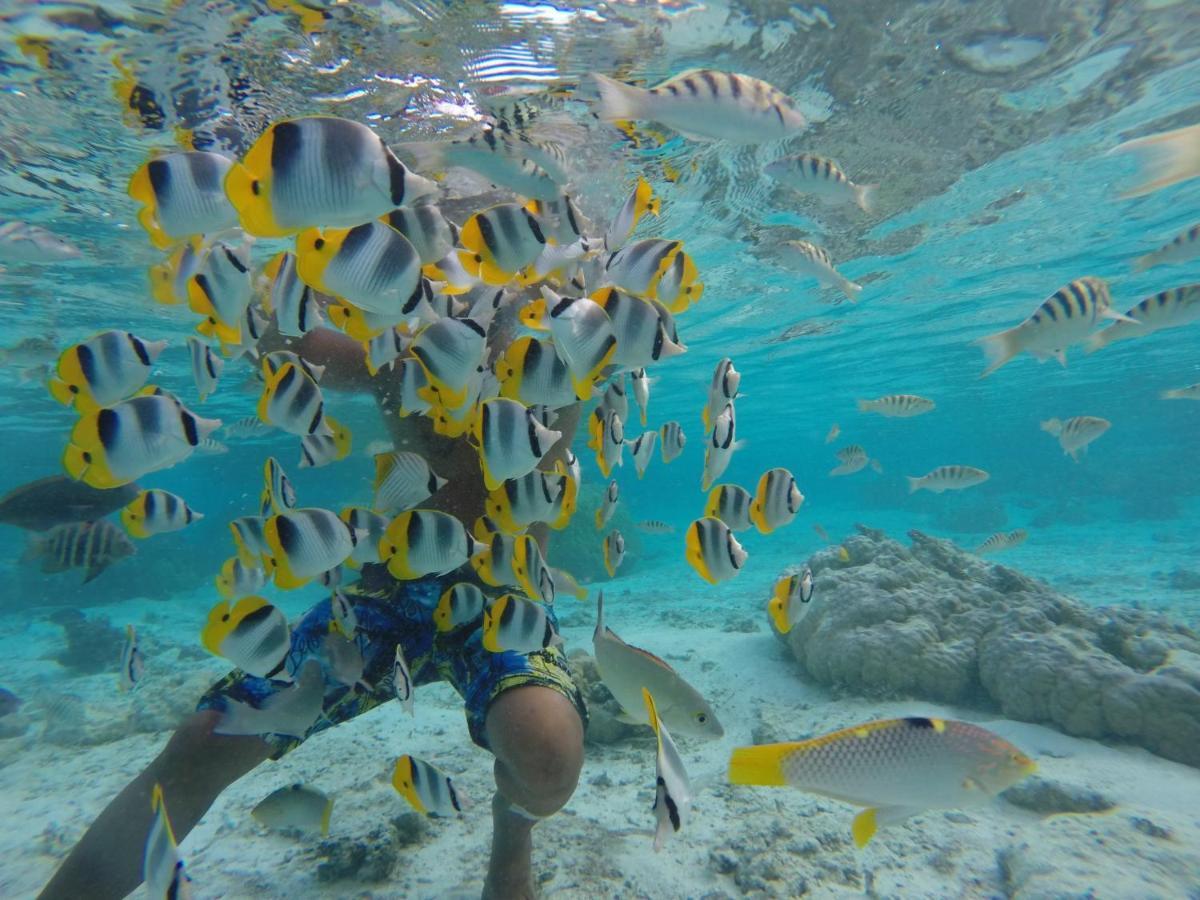 La Perle Tahaa Hotell Tapu' amu Exteriör bild