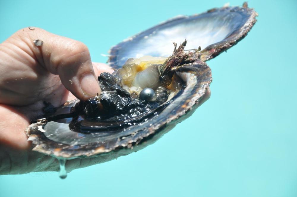 La Perle Tahaa Hotell Tapu' amu Exteriör bild